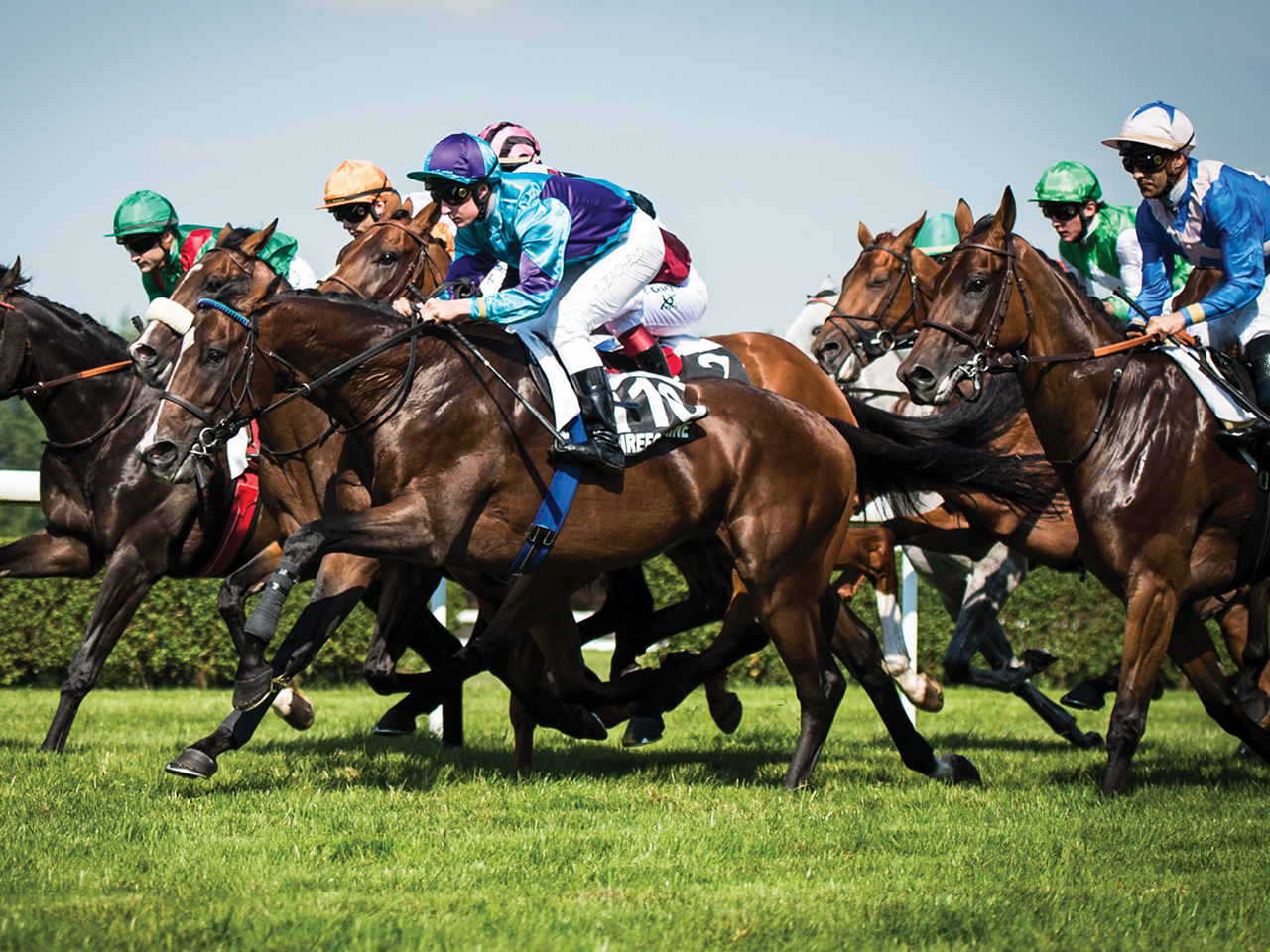 Haras Deauville